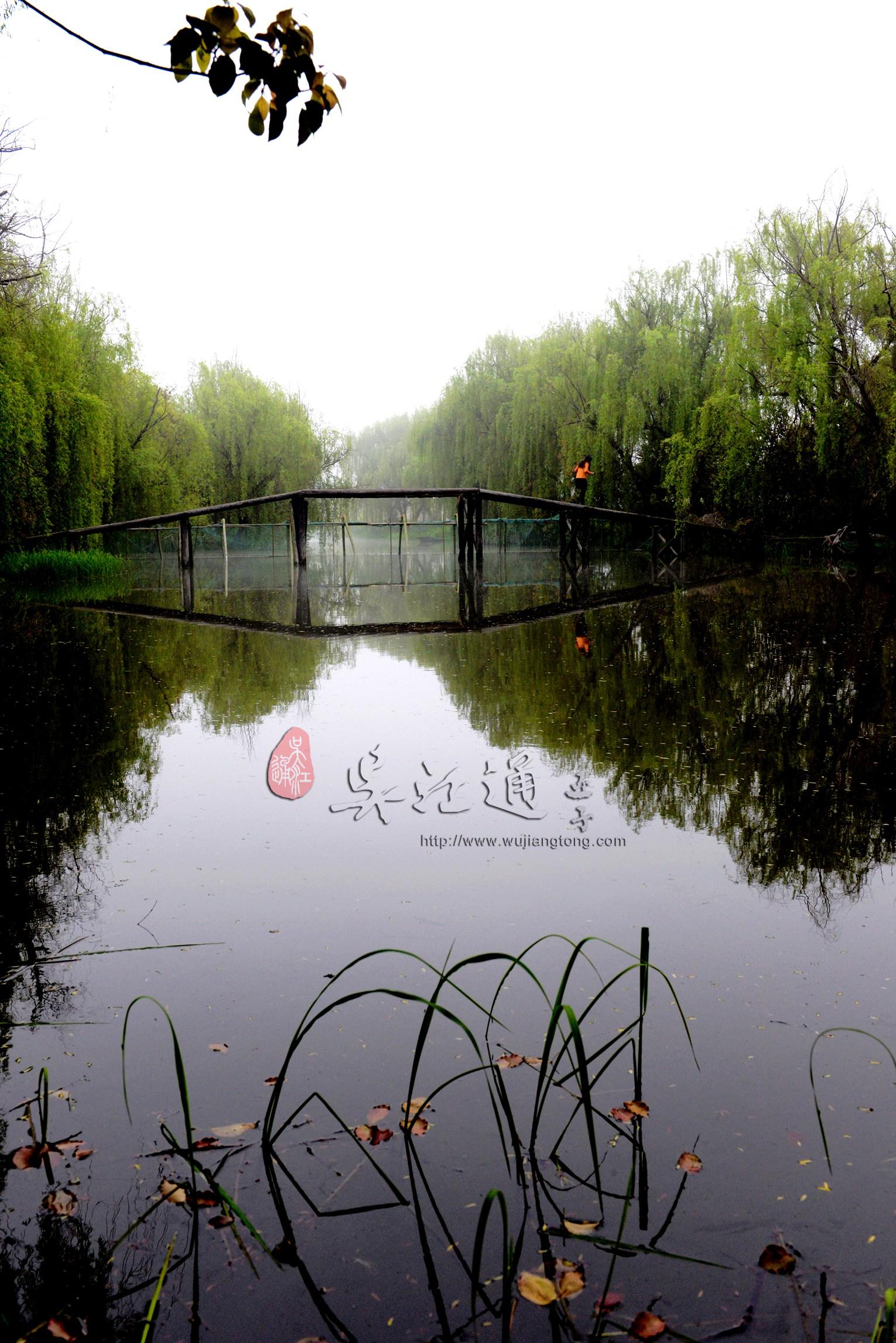 肖甸湖湿地4