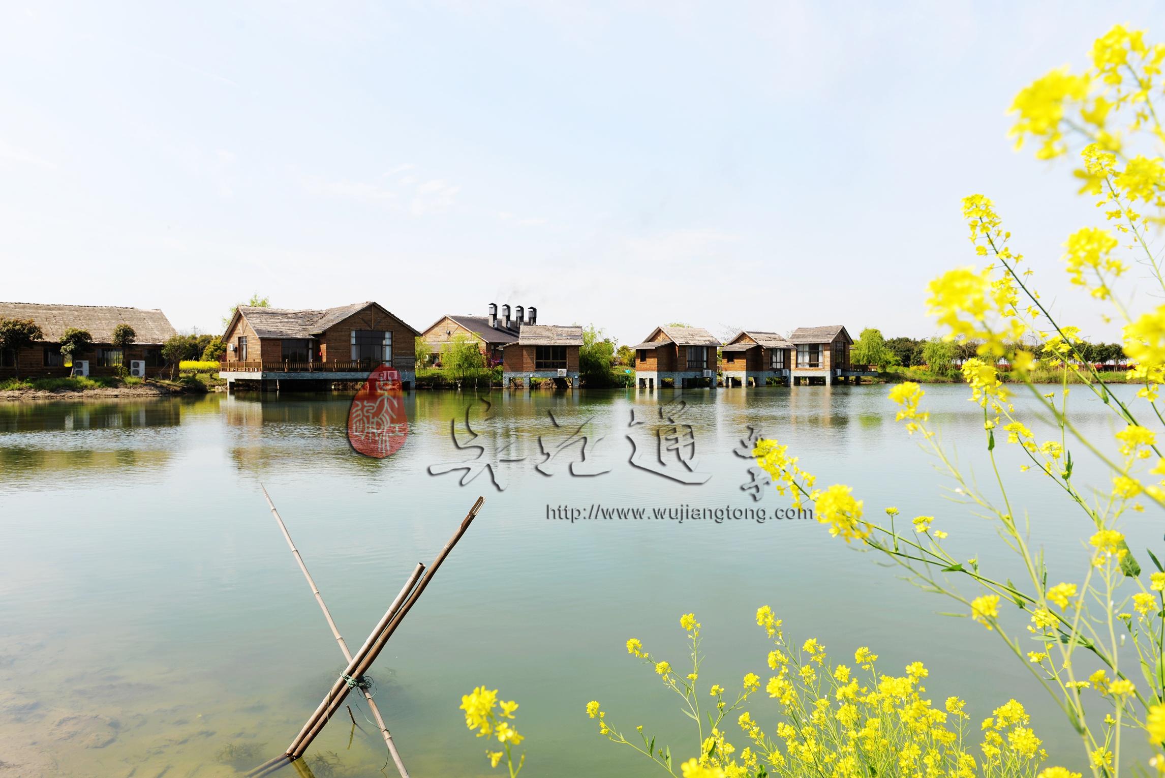 肖甸湖湿地5
