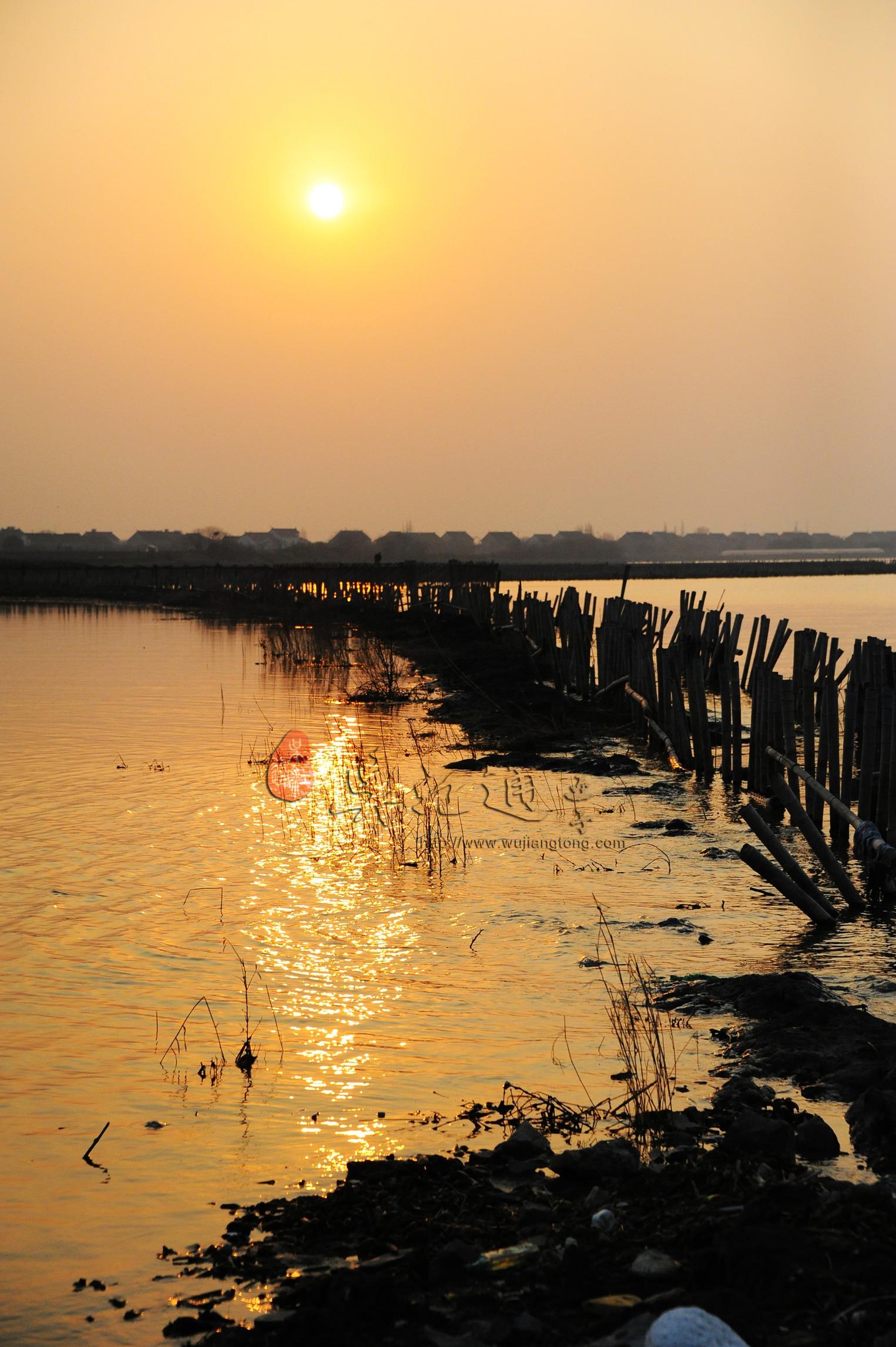 肖甸湖湿地9