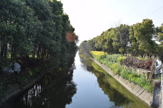 10.从桥顶上西面河道（来自南汇乡土的博客）.jpg