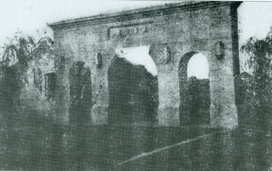 震泽公园.jpg