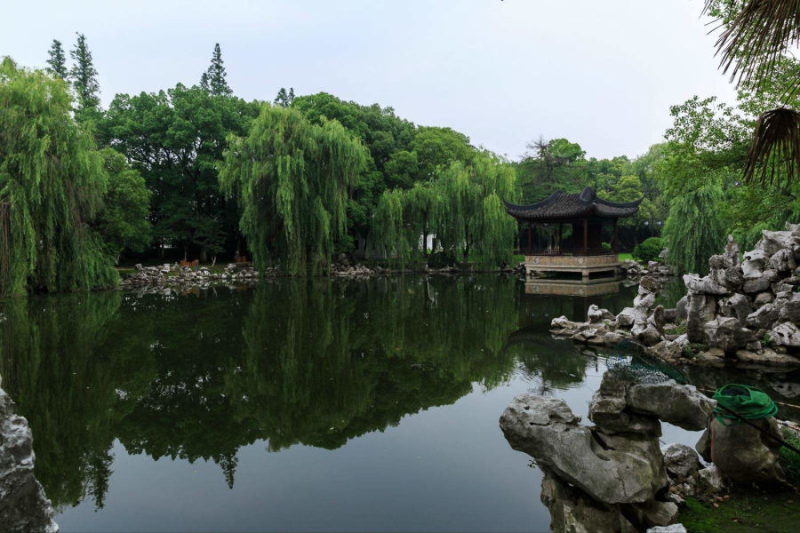 震泽公园_编辑.jpg