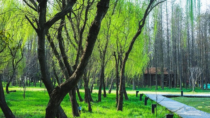 同里湿地公园11_副本.jpg