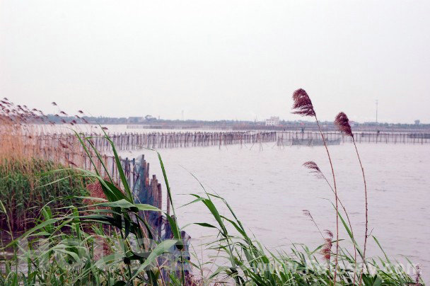 1.江南水乡——吴江分湖.jpg