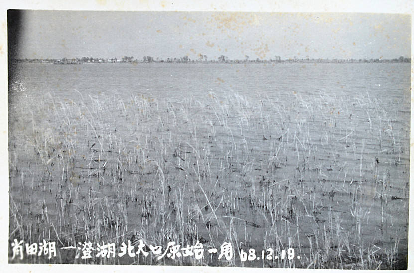 16.肖甸湖原貌(三).jpg