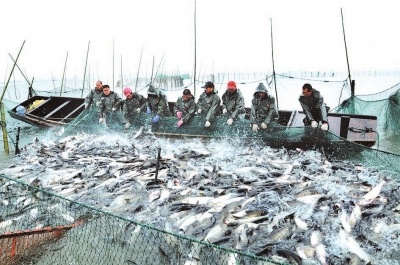 20、冬季大捕捞(做封面图).jpg
