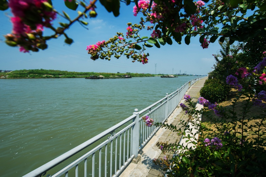 5大运河平望段（局部）.jpg