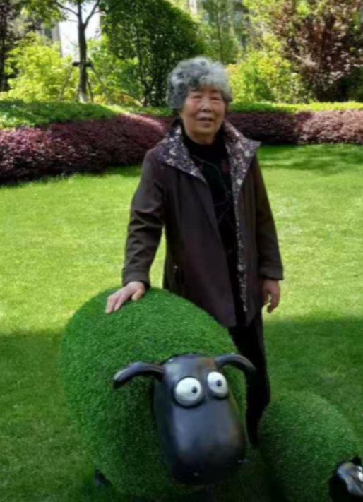 孙碧莹照片.png 孙碧莹照片.png