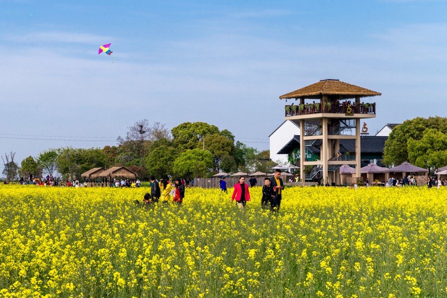 谢家路苏小花附近的游客.jpg