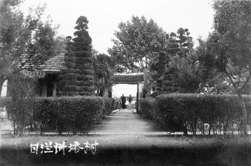 2.目澜洲塔松图（摄于上世纪三十年代，陆寿康提供）.jpg